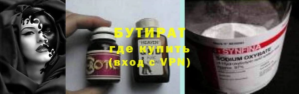 гидра Инта