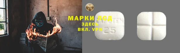 гидра Инта
