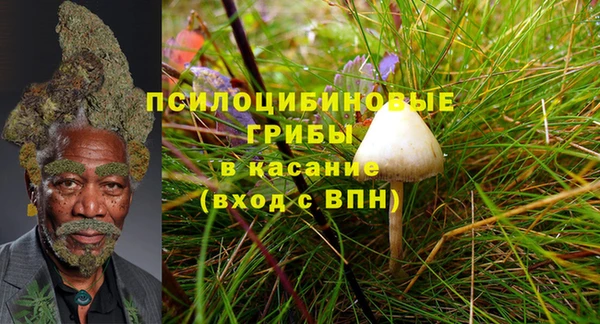 ALPHA PVP Каменногорск