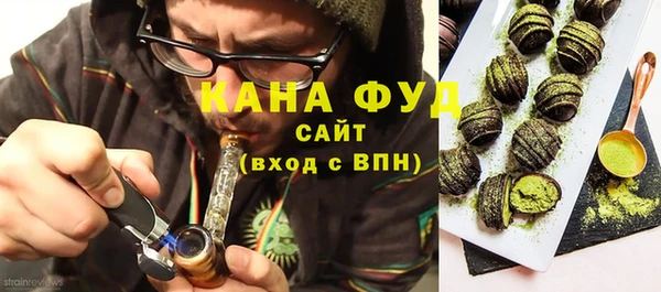 гидра Инта