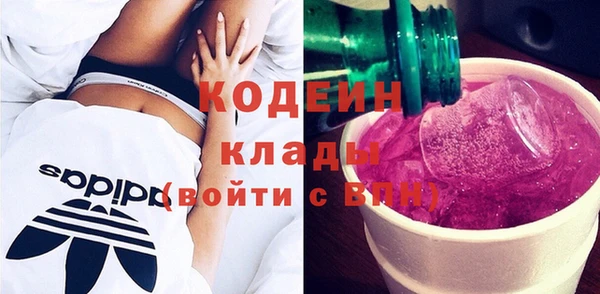 гидра Инта