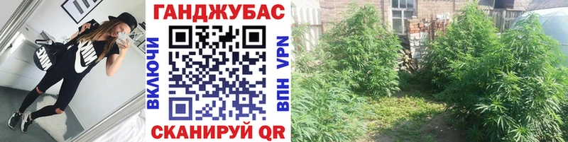 Купить  Туймазы  Канабис OG Kush 